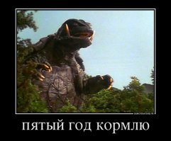 Черепаший рай или жизнь после смерти