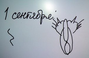 Загадочные геоглифы Наски в новых фотографиях НАСА