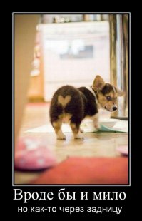 Демотиваторы