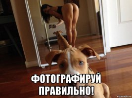 Фотобомбы и фотобомбочки