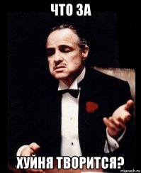 "...мужчина формально нарушил закон, нанес побои..."

"...в отношении водителя BMW - за то, что не пропустил автомобиль с включенными специальными световыми и звуковыми сигналами..."