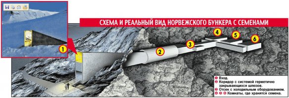 Часть семян срочно сдать в Банк Семян на Шпицбергене !!!