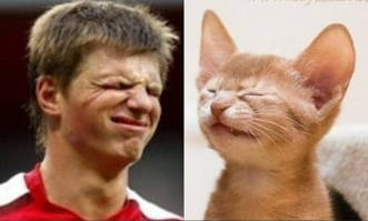 Животные-двойники известных личностей