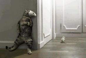 Маскировка — комплекс мероприятий, направленных на введение противника в заблуждение относительно наличия, расположения, состава, действий и намерений своих войск