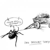 "Я хотел бы ещё одну телегу прогнать." (C) Троицкий