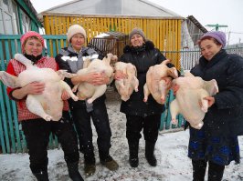 Вот зачем они шли.