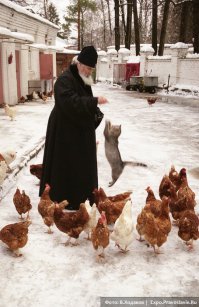 Прикольные надписи и объявления 