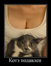 Демотиваторы