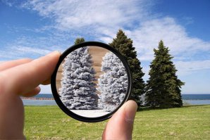 В инфракрасном свете.