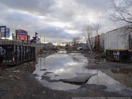 В России создают супер-реалистичные 3D-рисунки на асфальте