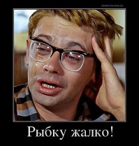 Двойной капкан: на летающую рыбку нападают и с воздуха, и из-под воды