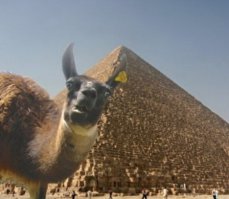 Какая фотобомба? Нормальное селфи.