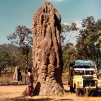 Спасибо за новое для меня. Но не могу не напомнить о творениях термитов. Тут не загадочная избушка гусениц, а крепость, город, целая страна...