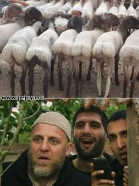  Типичный задержанный на Кавказе