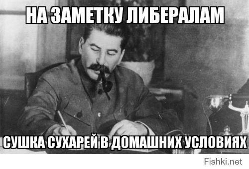 Это Путин виноват…