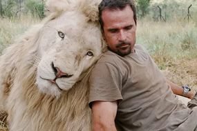 ... кот должен быть такого размера