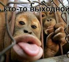 Понедельник у некоторых не начинается вовсе