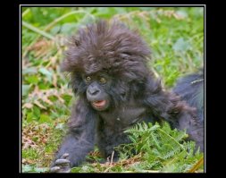 Что опять понедельник