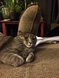 Тонко подмечено!