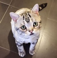 Очень улыбнуло