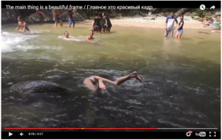 нормуль половые губки