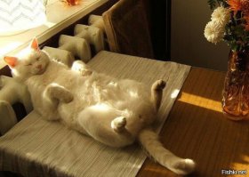 Фотоподборка 31.01.16