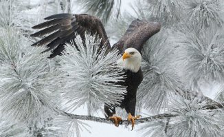 Фотоподборка