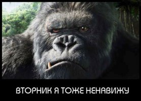 Понедельник у некоторых не начинается вовсе