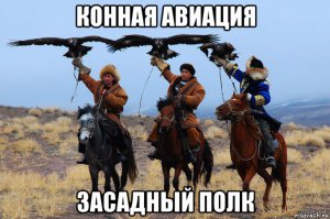 Езда на оленях и собаках: необычные учения арктической бригады