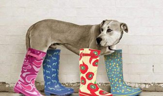 Да ну вас со своим фото жопам, потопал я отсюда...