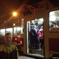 Премию Дарвина можно получить только один раз 