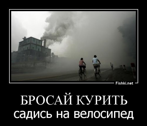 В мире где нет цветовой градации штанов, и в общественном транспорте используется бензин, царят хаос и беззаконие.