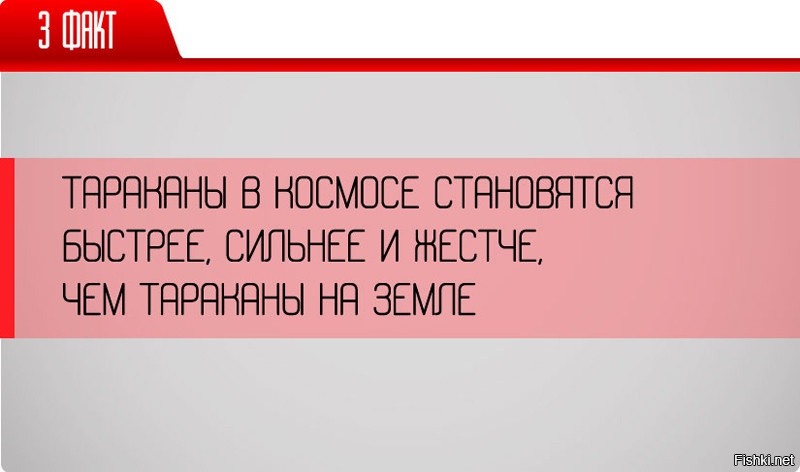Напомнило:)