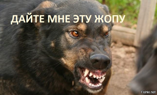 Обида, на которую можно ответить только местью 