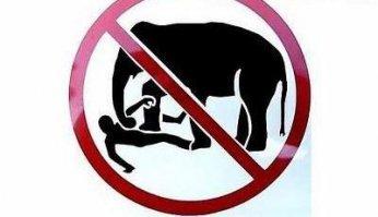 Такому в автошколе меня не обучали! 