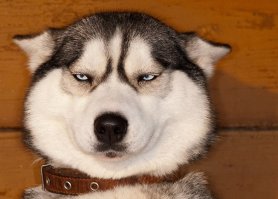 почти заинтересовало