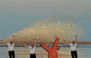 Забавные фотожабы на снимок девушки, целующей Сфинкса 