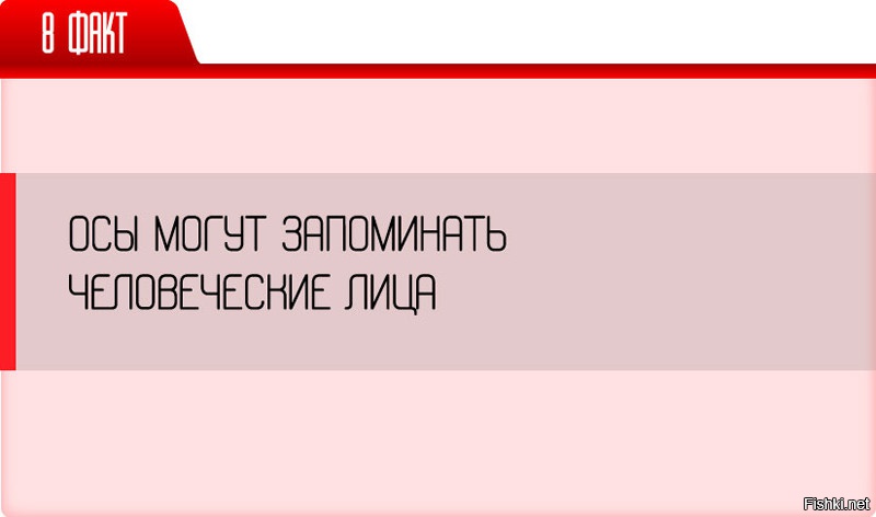 Моя жизнь теперь не будет прежней!
То есть, если я махну рукой на эту тварь, то мне следует всё лето оглядываться по сторонам и думать:"не летит ли она мне мстить жалом в спину?"
А , вообще, если серьезно, кто как думает, этот факт правда?