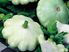 Черт возьми, патисон, ей фамилия реально подходила, а теперь уже не то...))))