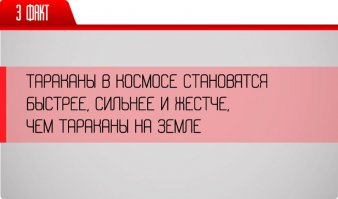 Автор наверное "Звёздный десант" посмотрел.