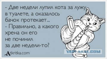 Обида, на которую можно ответить только местью 