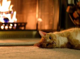 Флотские байки № 3