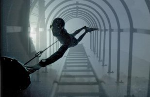 Реакция интернета на победу отфотошопленного снимка в конкурсе Nikon 