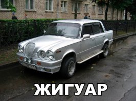 Очередная подборка автоприколов