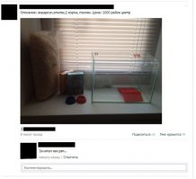 ... и "центр" картавым голосом.