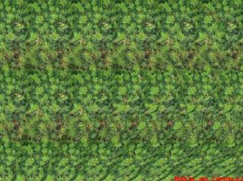 Мне расслабить и потренировать глаза нравится с помощью стерео-картинок: