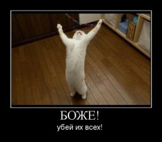 Фотографии из соцсетей