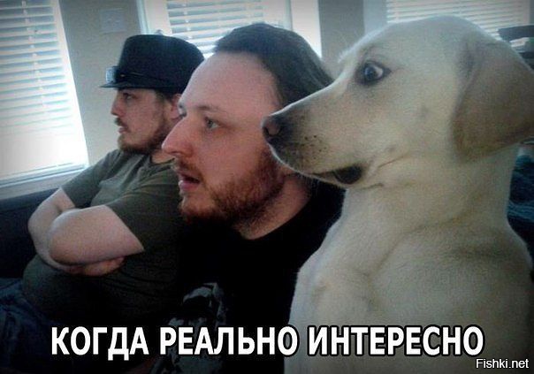 Смешные картинки с надписями