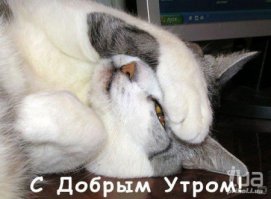 Фотоподборка за 02.02.2016