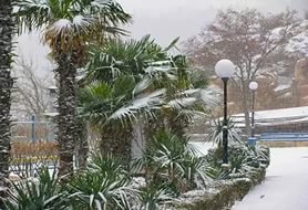 Известные люди в необычных ситуациях